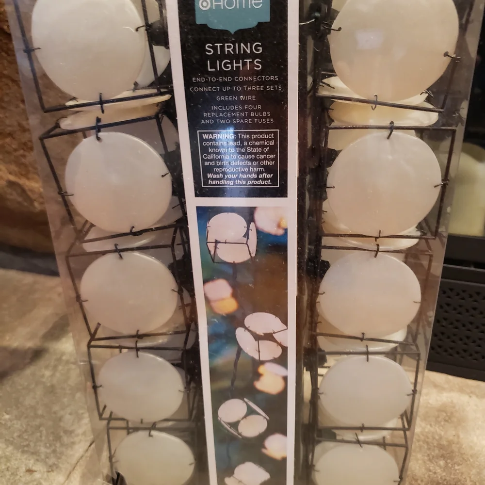 Home White String Lights 8' 2.5
